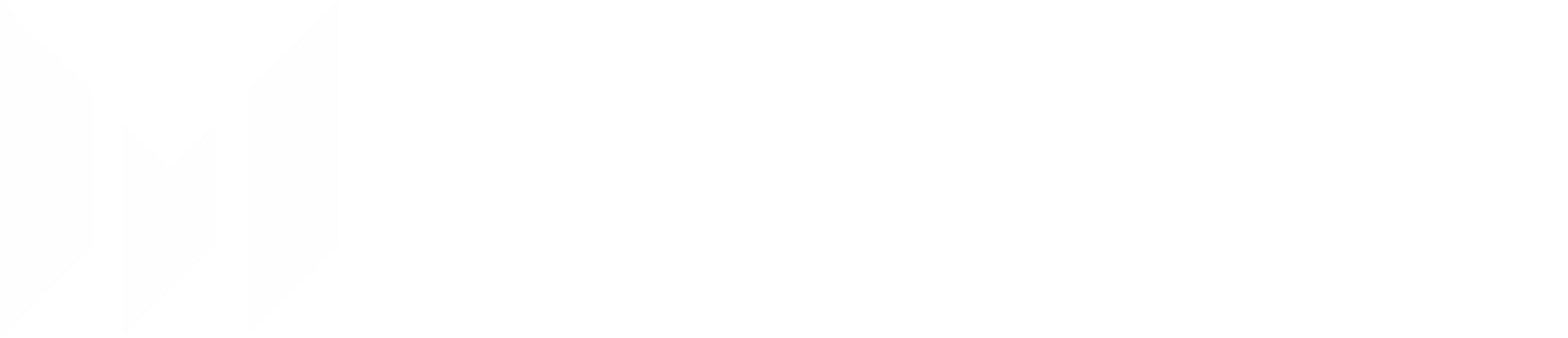 Mainnet Logo